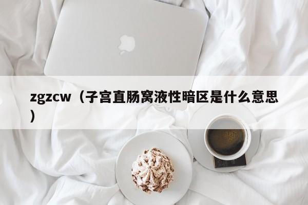 zgzcw（子宫直肠窝液性暗区是什么意思）