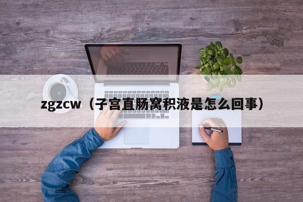 zgzcw（子宫直肠窝积液是怎么回事）