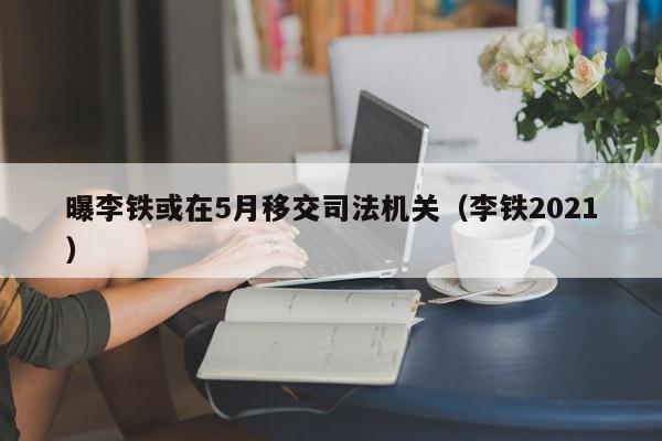 曝李铁或在5月移交司法机关（李铁2021）