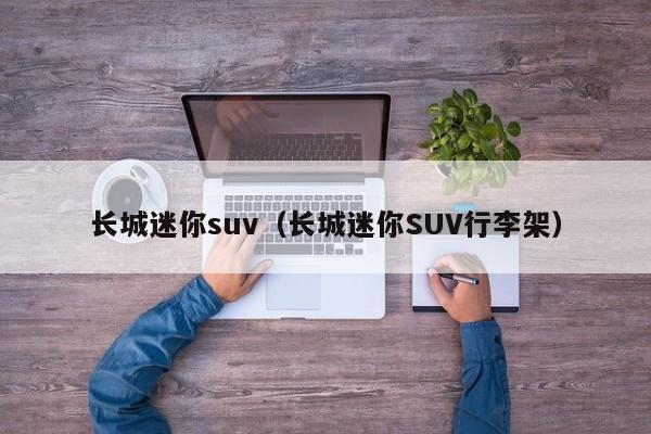 长城迷你suv（长城迷你SUV行李架）