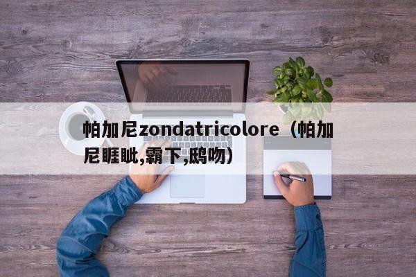 帕加尼zondatricolore（帕加尼睚眦,霸下,鸱吻）