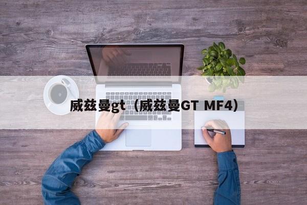 威兹曼gt（威兹曼GT MF4）