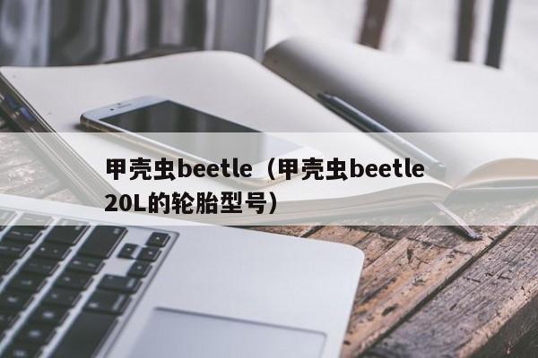 甲壳虫beetle（甲壳虫beetle 20L的轮胎型号）