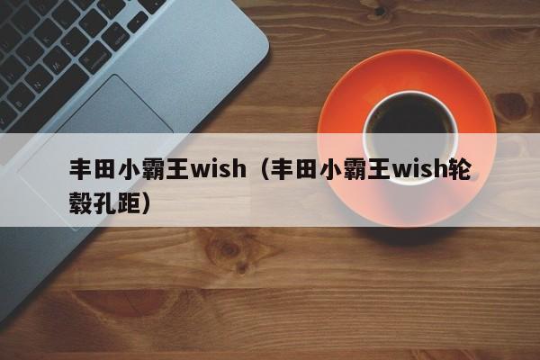 丰田小霸王wish（丰田小霸王wish轮毂孔距）