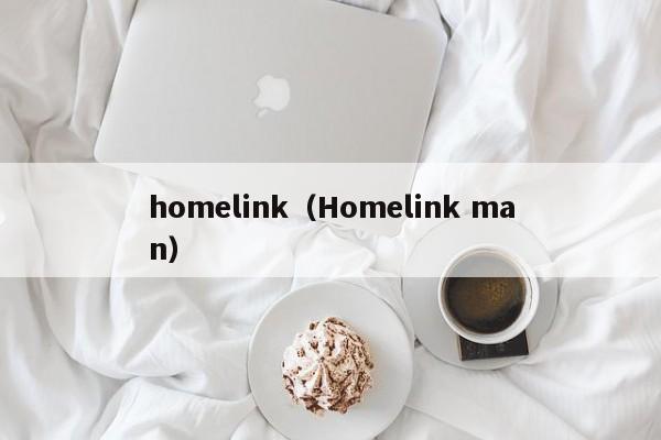 homelink（Homelink man）