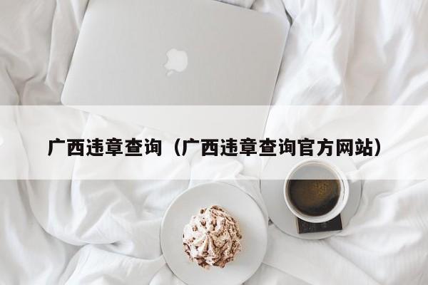 广西违章查询（广西违章查询官方网站）