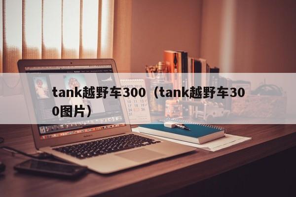 tank越野车300（tank越野车300图片）