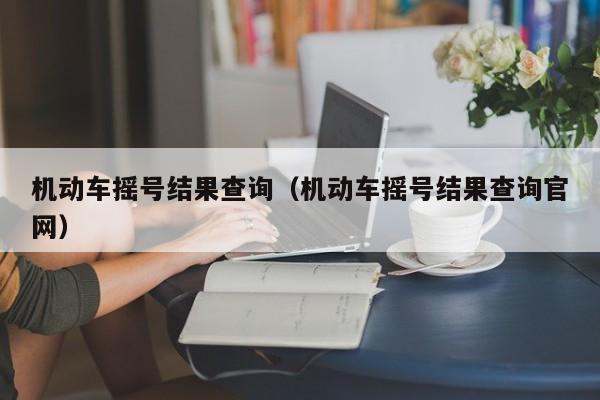 机动车摇号结果查询（机动车摇号结果查询官网）