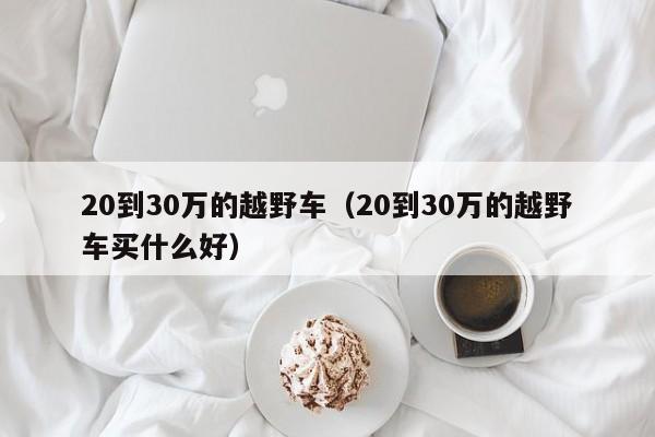 20到30万的越野车（20到30万的越野车买什么好）