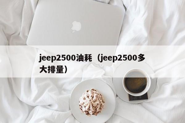 jeep2500油耗（jeep2500多大排量）