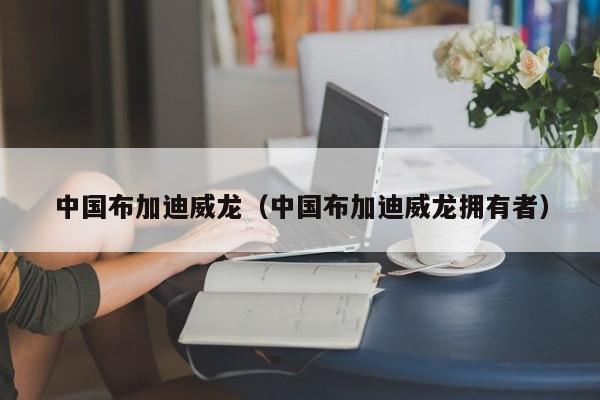 中国布加迪威龙（中国布加迪威龙拥有者）