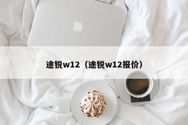 途锐w12（途锐w12报价）