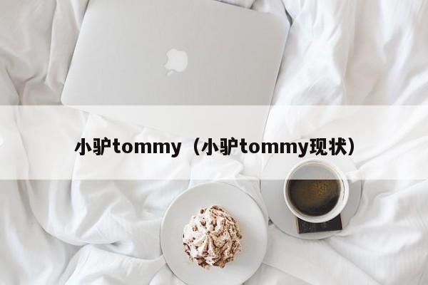 小驴tommy（小驴tommy现状）