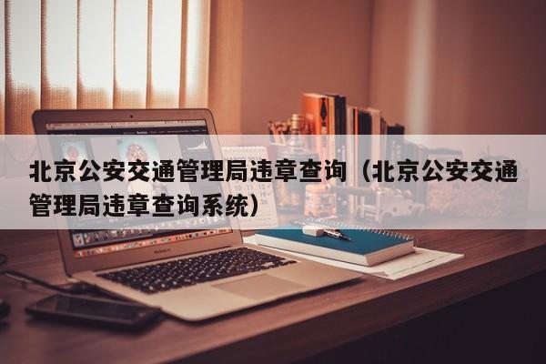 北京公安交通管理局违章查询（北京公安交通管理局违章查询系统）