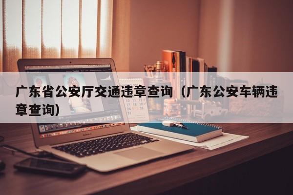 广东省公安厅交通违章查询（广东公安车辆违章查询）