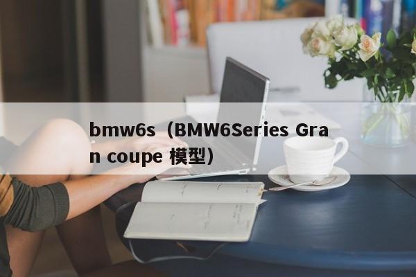 bmw6s（BMW6Series Gran coupe 模型）