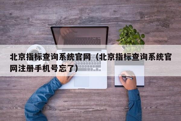 北京指标查询系统官网（北京指标查询系统官网注册手机号忘了）