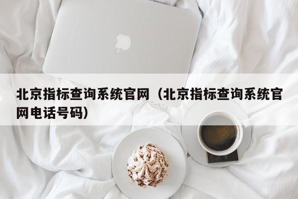 北京指标查询系统官网（北京指标查询系统官网电话号码）