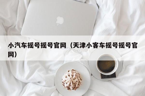 小汽车摇号摇号官网（天津小客车摇号摇号官网）