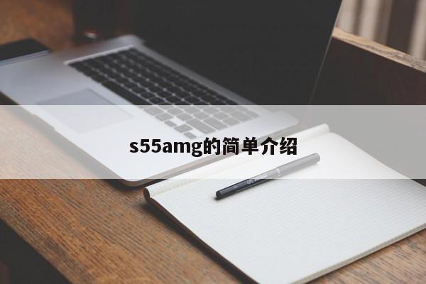 s55amg的简单介绍