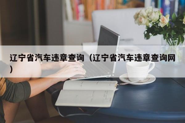 辽宁省汽车违章查询（辽宁省汽车违章查询网）