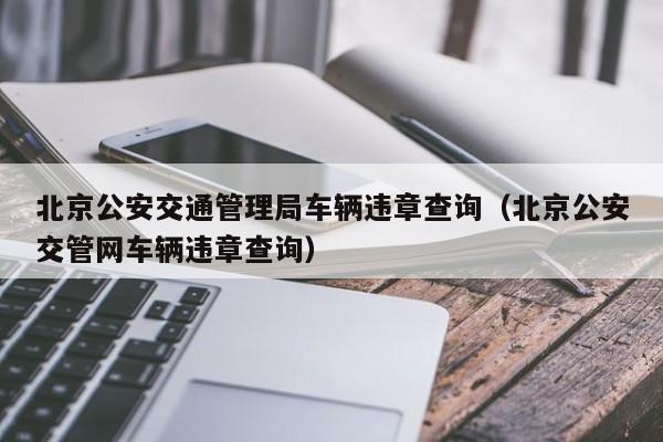 北京公安交通管理局车辆违章查询（北京公安交管网车辆违章查询）