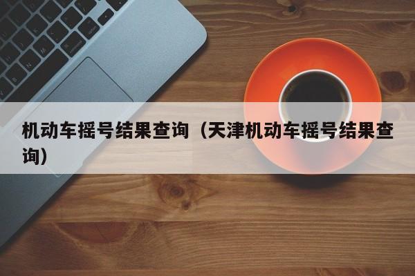 机动车摇号结果查询（天津机动车摇号结果查询）