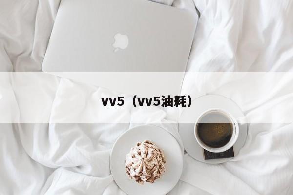 vv5（vv5油耗）