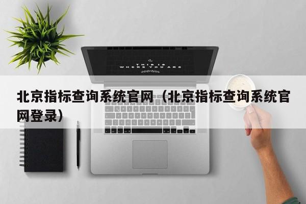 北京指标查询系统官网（北京指标查询系统官网登录）