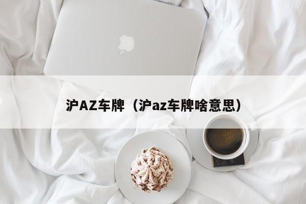 沪AZ车牌（沪az车牌啥意思）