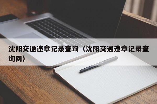 沈阳交通违章记录查询（沈阳交通违章记录查询网）