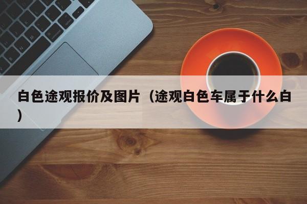 白色途观报价及图片（途观白色车属于什么白）