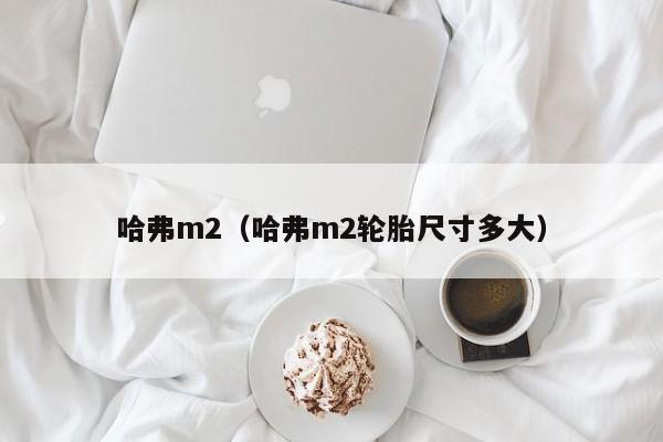 哈弗m2（哈弗m2轮胎尺寸多大）