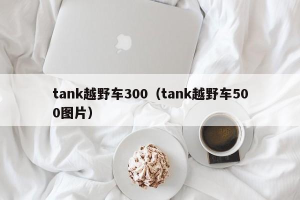 tank越野车300（tank越野车500图片）