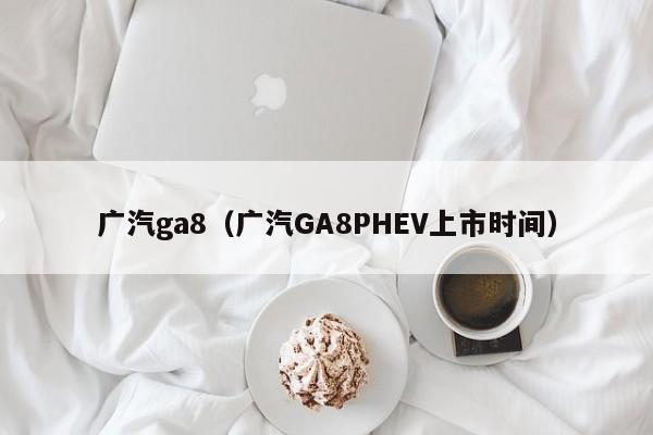 广汽ga8（广汽GA8PHEV上市时间）