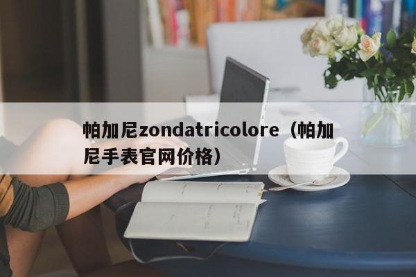 帕加尼zondatricolore（帕加尼手表官网价格）