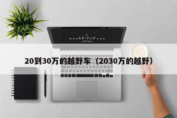 20到30万的越野车（2030万的越野）