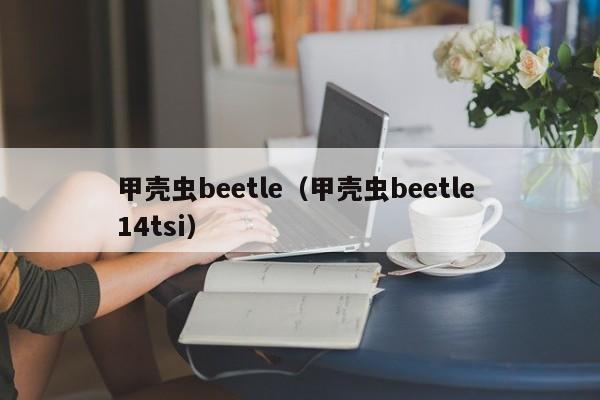 甲壳虫beetle（甲壳虫beetle 14tsi）