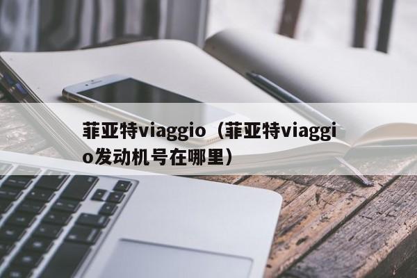 菲亚特viaggio（菲亚特viaggio发动机号在哪里）