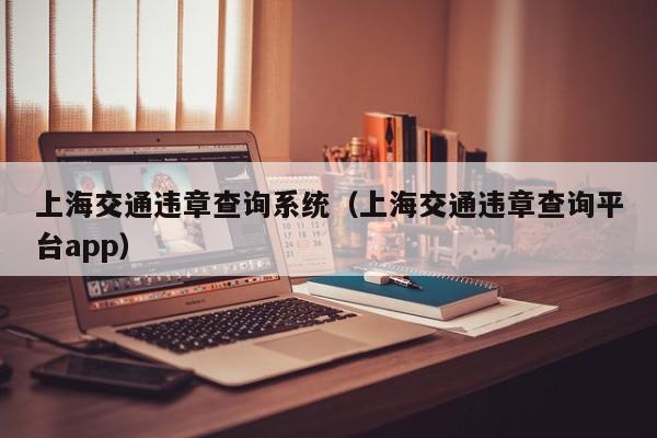 上海交通违章查询系统（上海交通违章查询平台app）