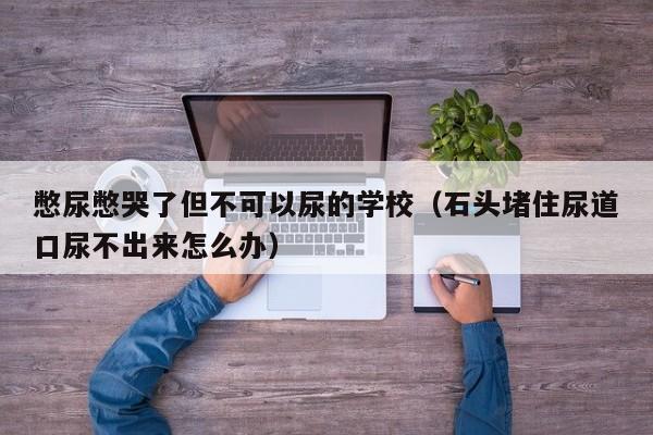 憋尿憋哭了但不可以尿的学校（石头堵住尿道口尿不出来怎么办）