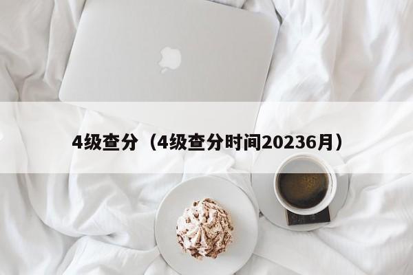 4级查分（4级查分时间20236月）